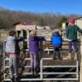 Grants for Nonprofit Organizations in Delaware County, Ohio: A Comprehensive Guide