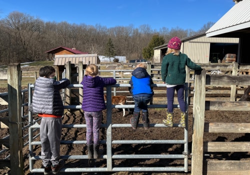 Grants for Nonprofit Organizations in Delaware County, Ohio: A Comprehensive Guide
