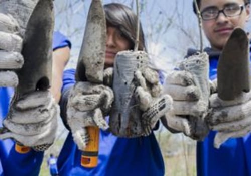 Volunteering with a Voluntary Organization in Delaware, Ohio: Requirements and Benefits